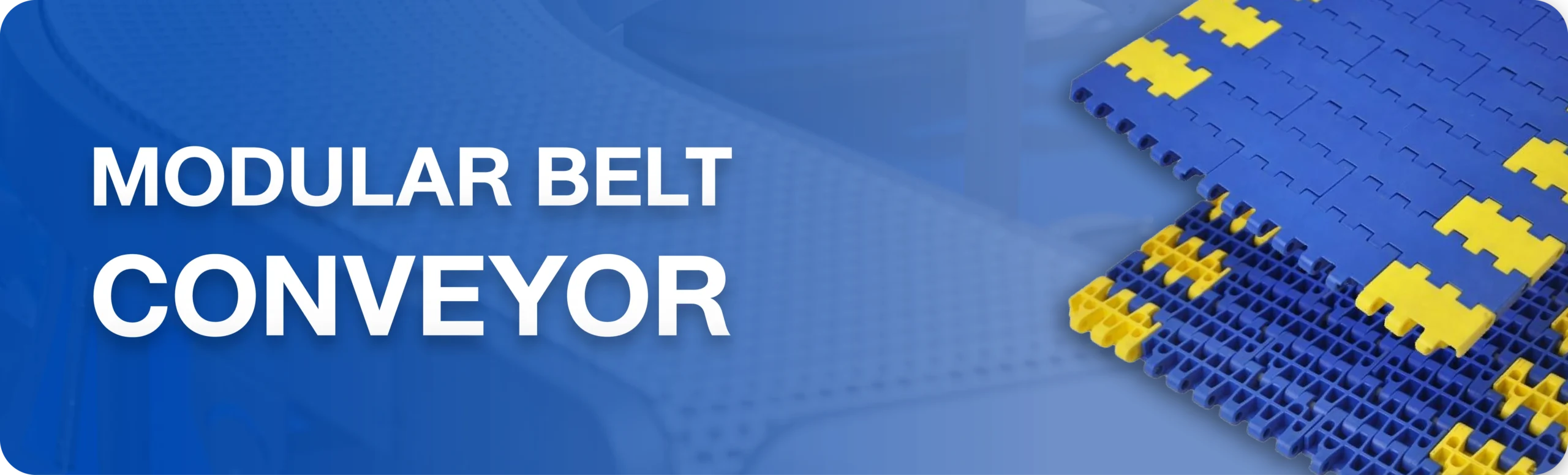 Modular Belt Conveyor